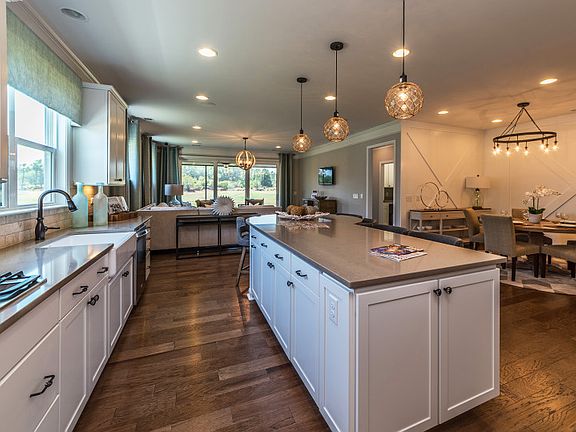 Model Representation