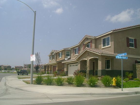 Side View
