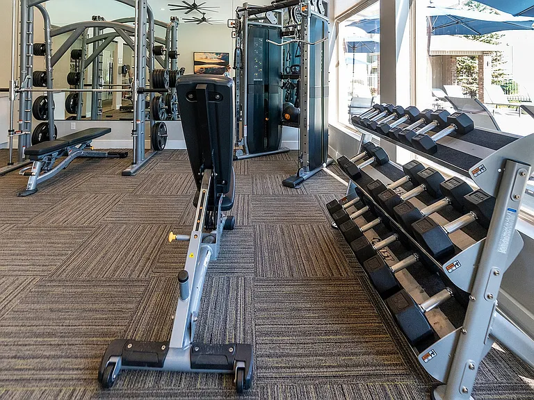 Free Weights