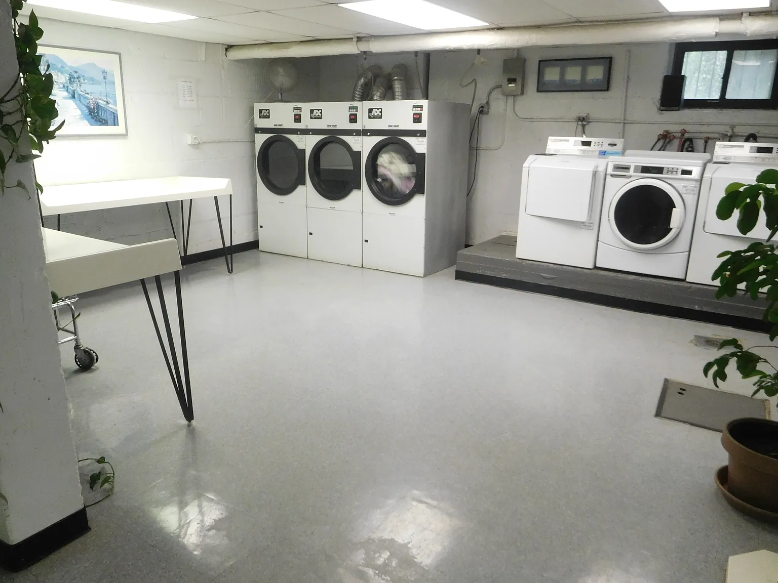 1 bed, 800 sqft, $2,200 — Photo 2