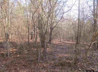 4423 Cr, Pittsburg, TX 75686