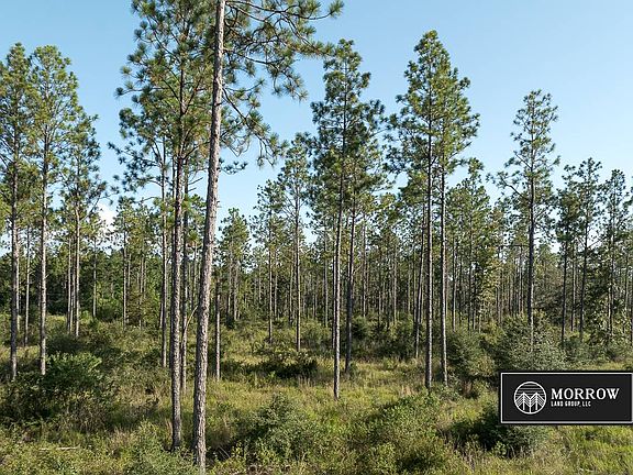 5th image of Alston Cemetery Rd