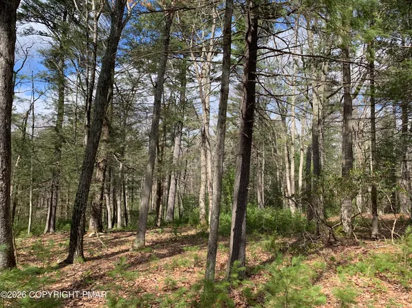 Tower Rd, Dingmans Ferry, PA 18328