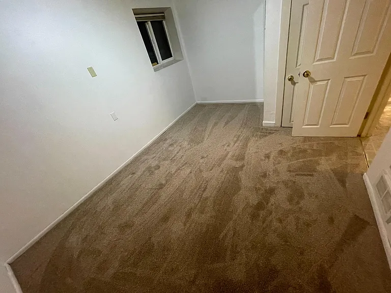 7822 Lake City Way NE #1 — Photo 10