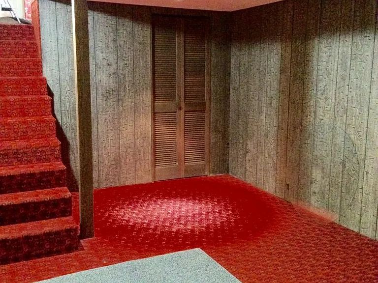 Basement Bonus room