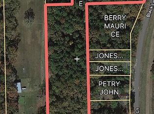 Black Ln, Beaumont, TX 77713