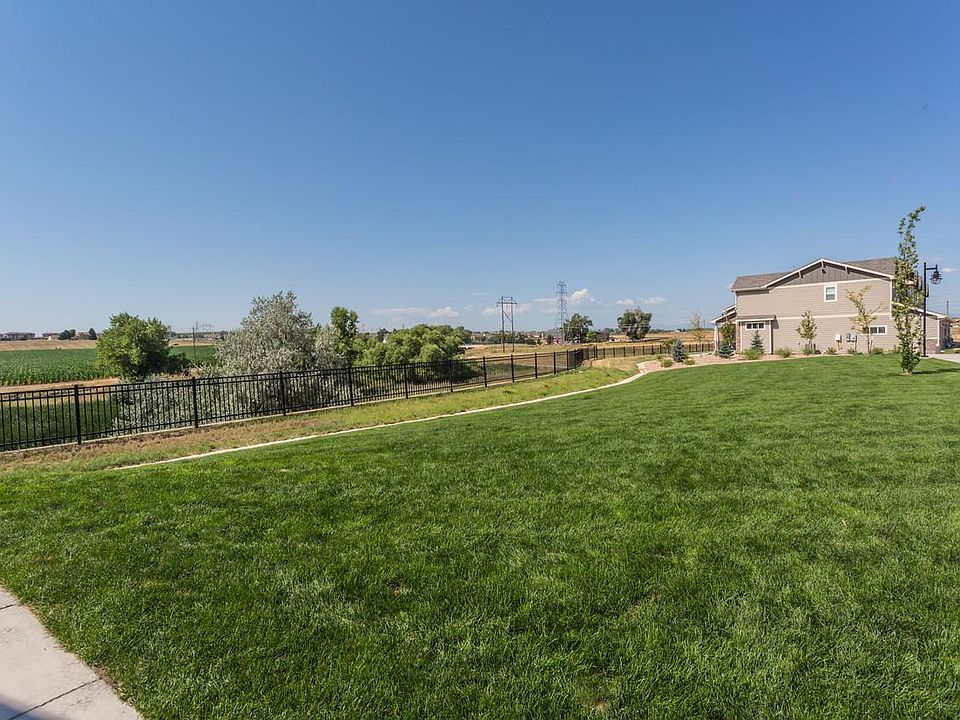 Open Space on South Side of Property