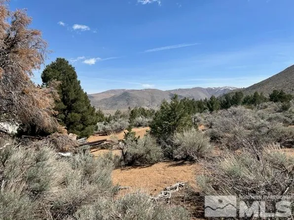 LOT G5 Dry Canyon Rd, Coleville, CA 96107