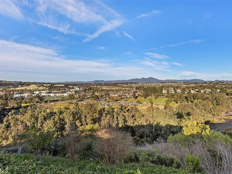 24001 Swallowtail Dr — Photo 35
