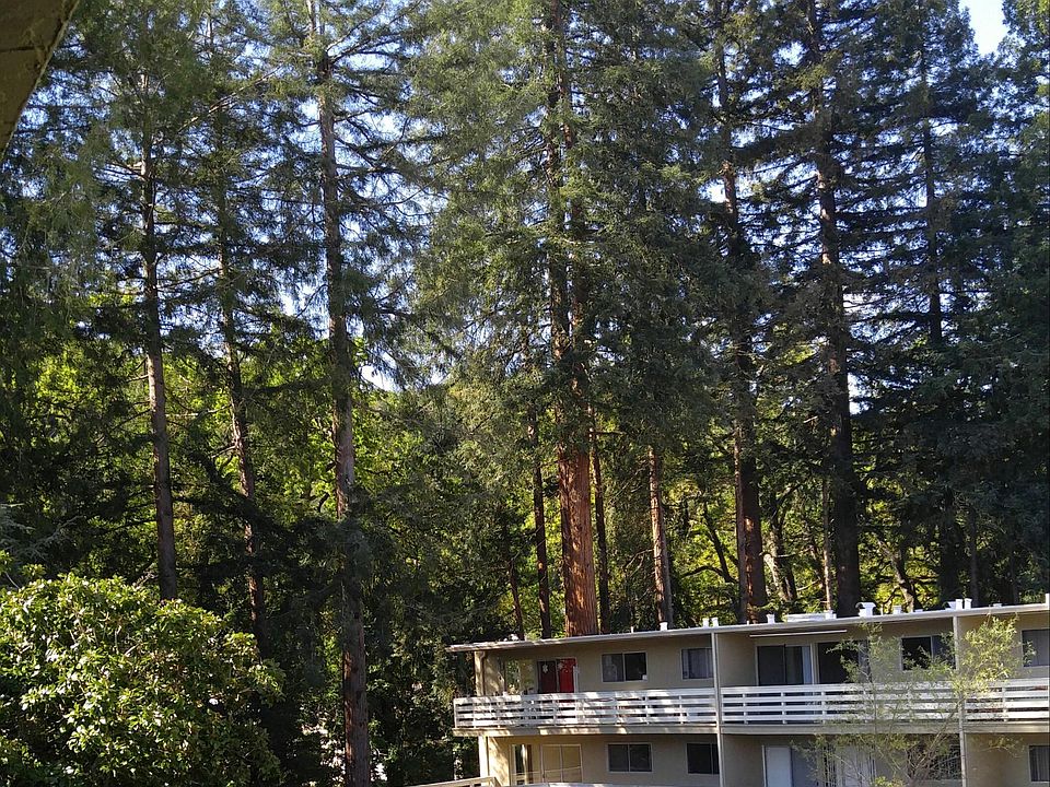 2nd image of 3713 Mt Diablo Blvd APT 2