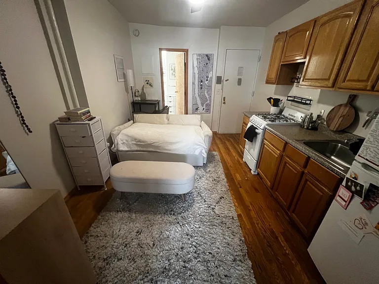 8 Spring St #5FE — Photo 10