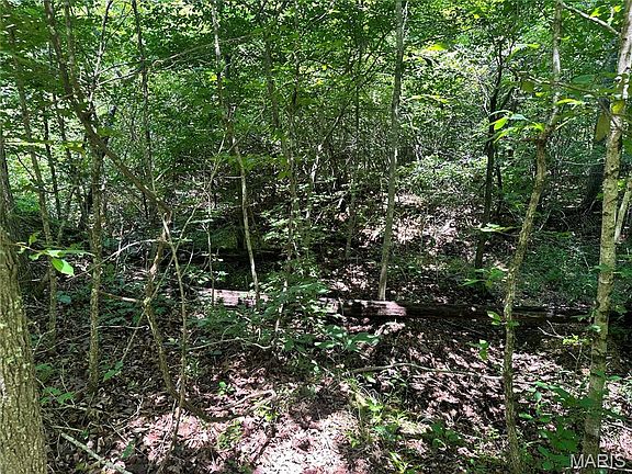 5th image of Kaw Ct