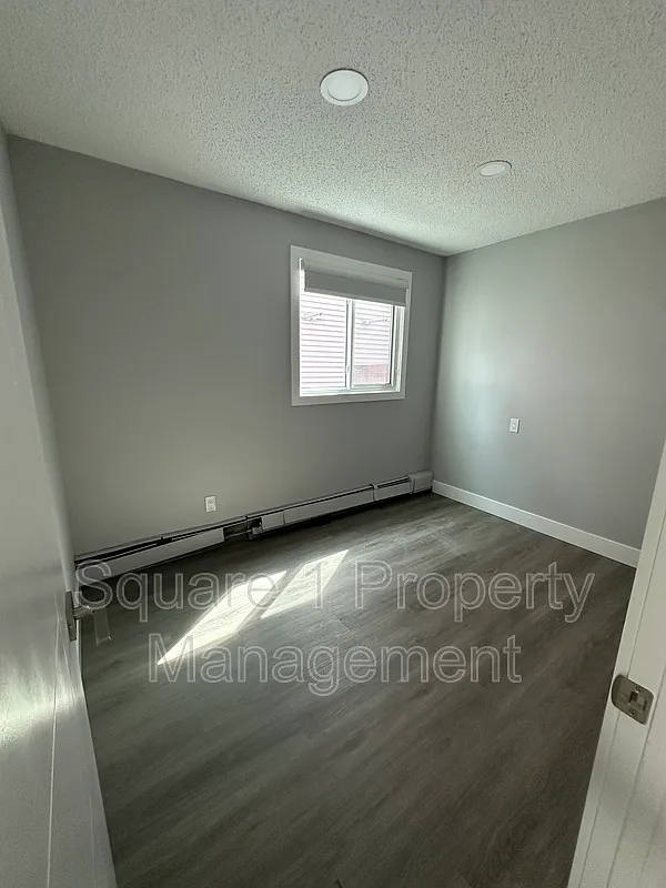 2 bed, 1.0 bath, $1,500 — Photo 3