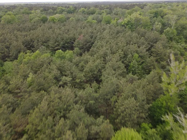 County Road 29 Lot Wp002, Hamburg, AR 71646