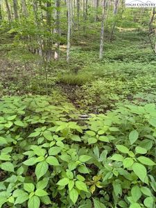 Lot 57 Beechwood Circle, Creston, NC, 28615