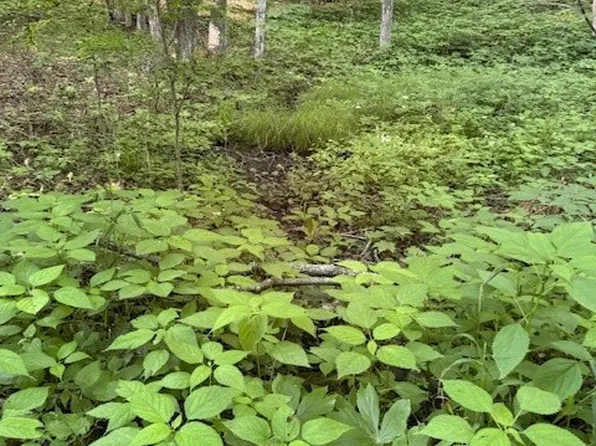 Lot 57 Beechwood Circle, Creston, NC 28615