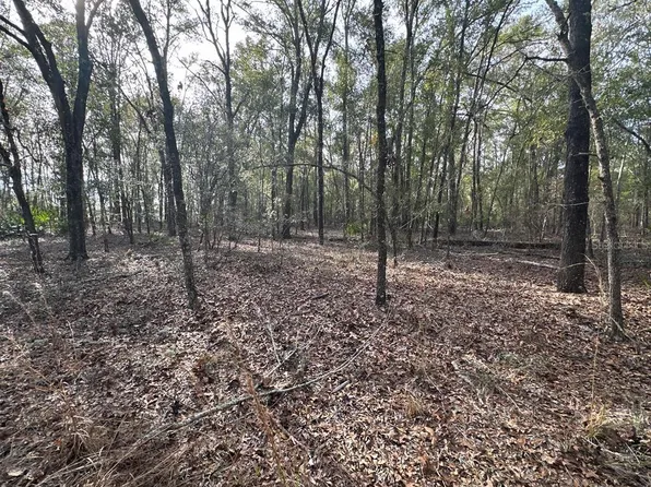 NW 72nd Ct #15, Bell, FL 32619