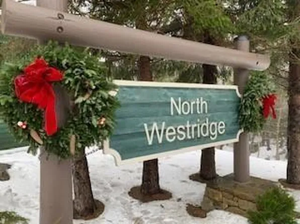 140 N West Ridge Rd, Snowshoe, WV 26209