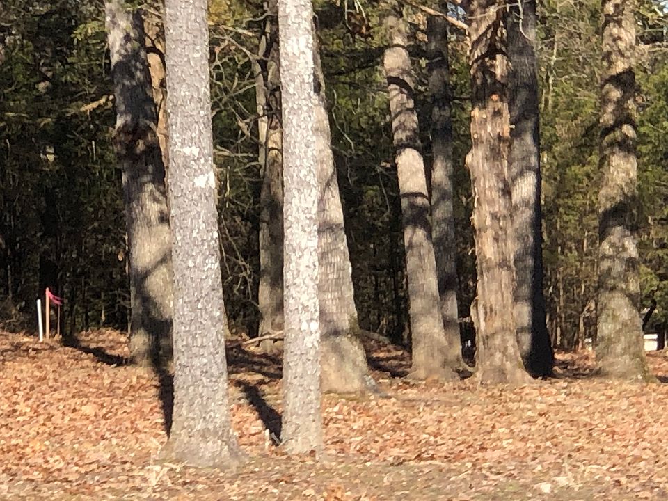 2nd image of E Mockingbird Ln