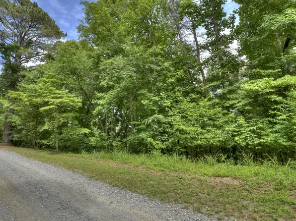 42 Mountain Rivers Ln, Mineral Bluff, GA 30559
