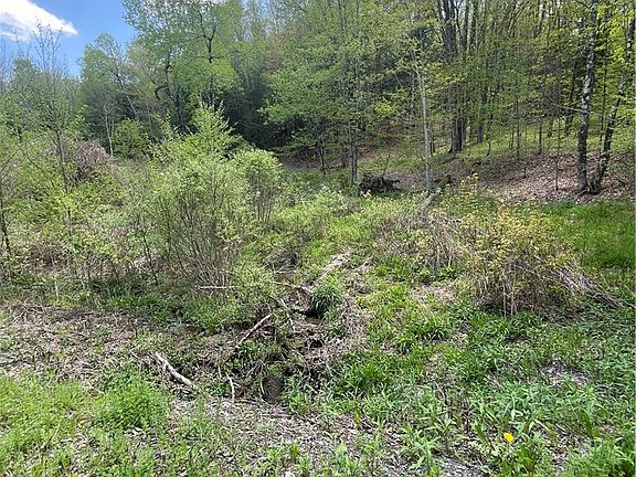 5th image of 1-20 Sternberg Rd