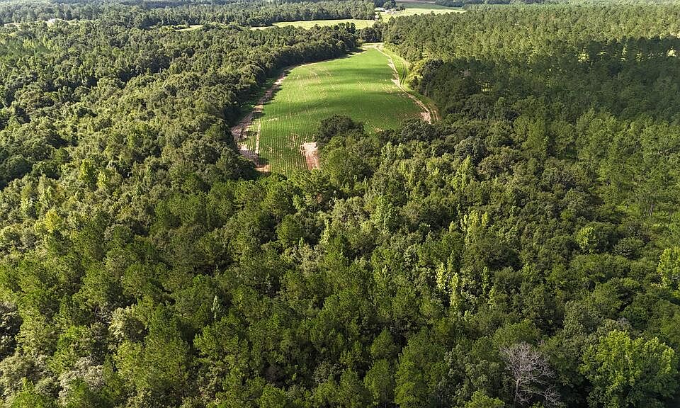 1st image of 0 Wallace Buie Rd