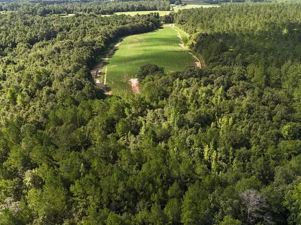 0 Wallace Buie Rd, Webb, AL 36376