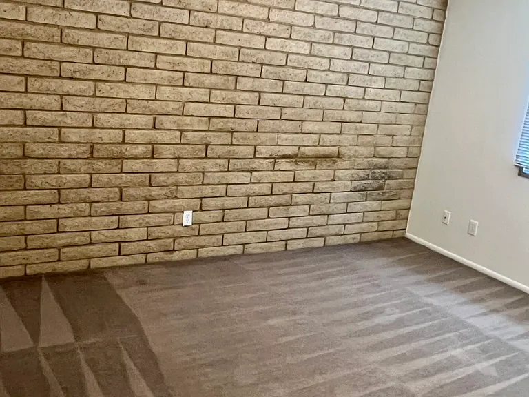 flooring to be wood style plank