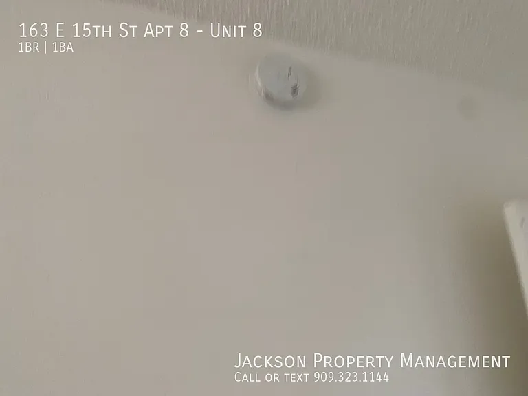 163 E 15th St #8 — Photo 10
