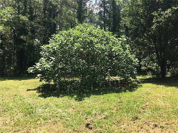 3rd image of 771 Lee Road 454