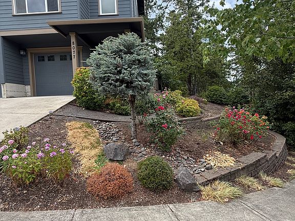 Side yard.