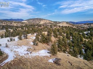 13 Buckhorn Trl, Guffey, CO 80820