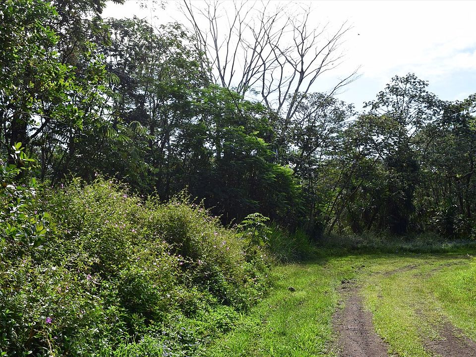 2nd image of Pahoa Rd Lot 16