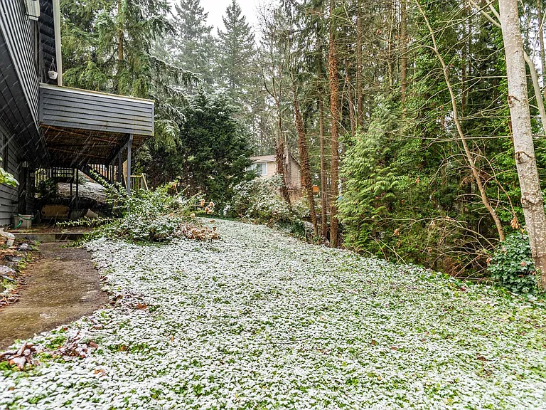 Private Backyard