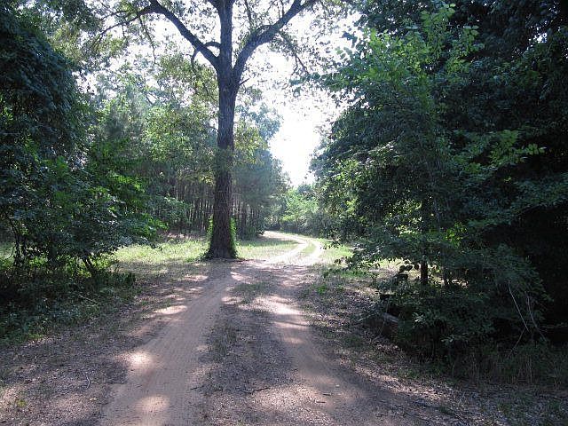 1st image of 2104 An County Road 436