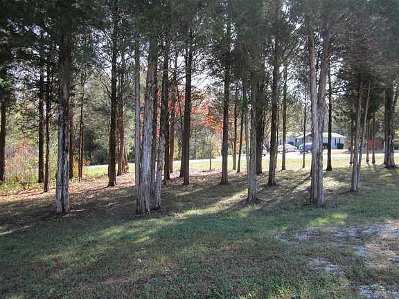 5th image of 249 Melissa Dr