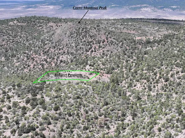 5 Acres On Cerro Montoso, Arroyo Hondo, NM 87513