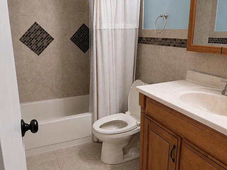 Full bathroom and toilet