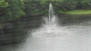3rd image of 5910 Morningstar Cir APT 404