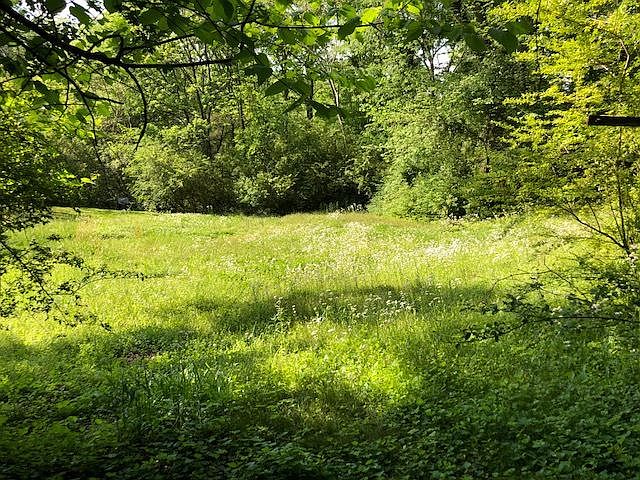 2nd image of 106 Shryer Rd