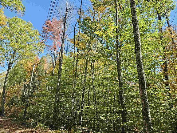 3rd image of Lot 90 Faraway Road