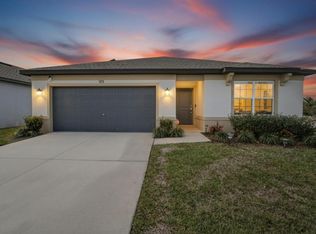 901 Golden Shiner Ave, Ruskin, FL 33570