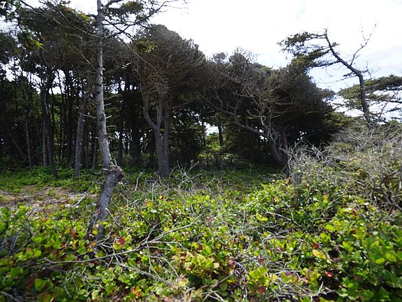 2nd image of 7100 Pacific Coast Hwy