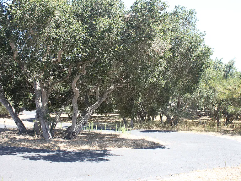 4281 E Highway 246 — Photo 83