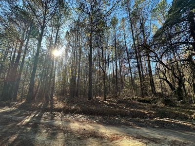 LOT 6 SAGGUS Road, Washington, GA, 30673