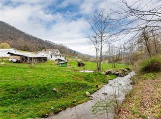 1078 N Turkey Creek Rd, Leicester, NC 28748