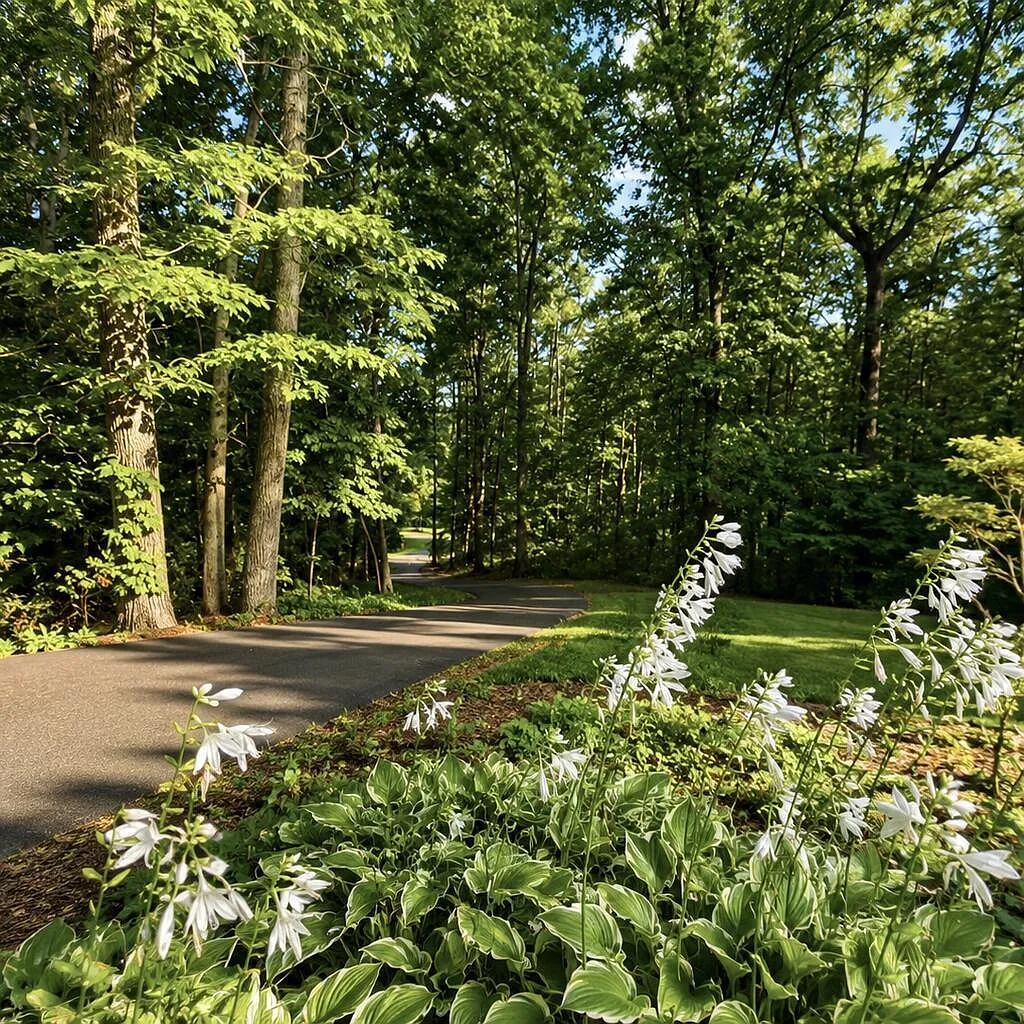 4 bed, $2,300 — Photo 4