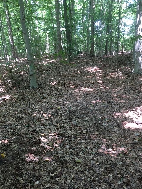 2nd image of 777 Clannihan Shop Rd