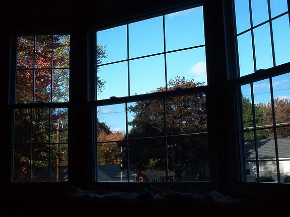 Bay Window View