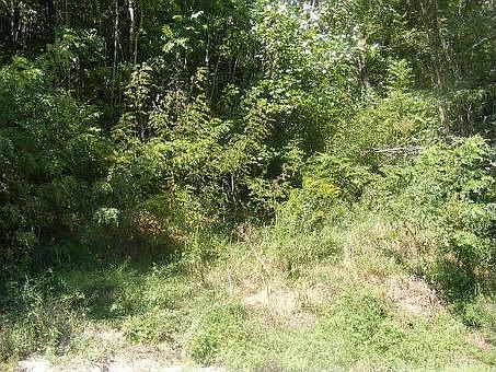 2nd image of 1936 Preacher Holt Rd